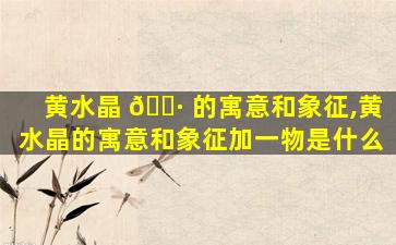 黄水晶 🌷 的寓意和象征,黄水晶的寓意和象征加一物是什么